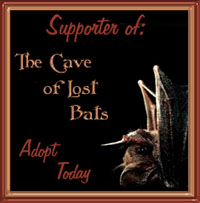 The Cave of Lost Bats