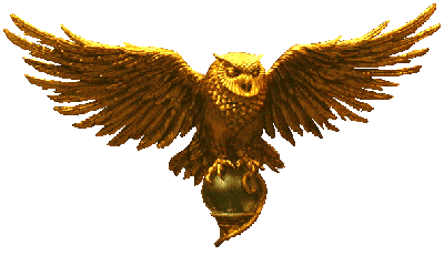 gold owl